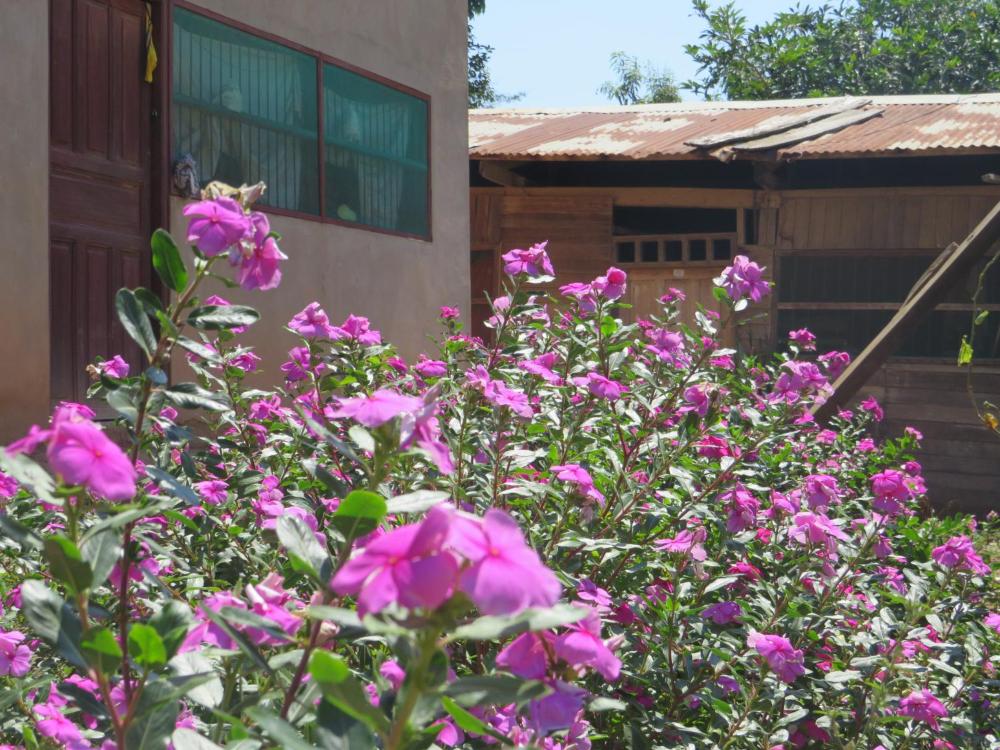 Casa de Alfonso y Bertha