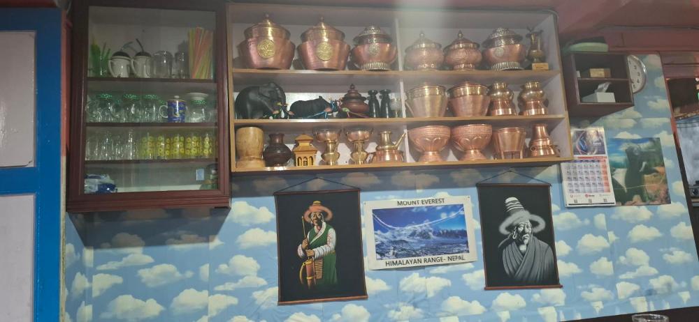 Hotel Dream Lodge and Restaurant phaplu