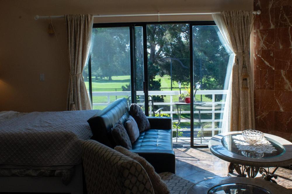 Large Luxury Studio with View in Santa Monica