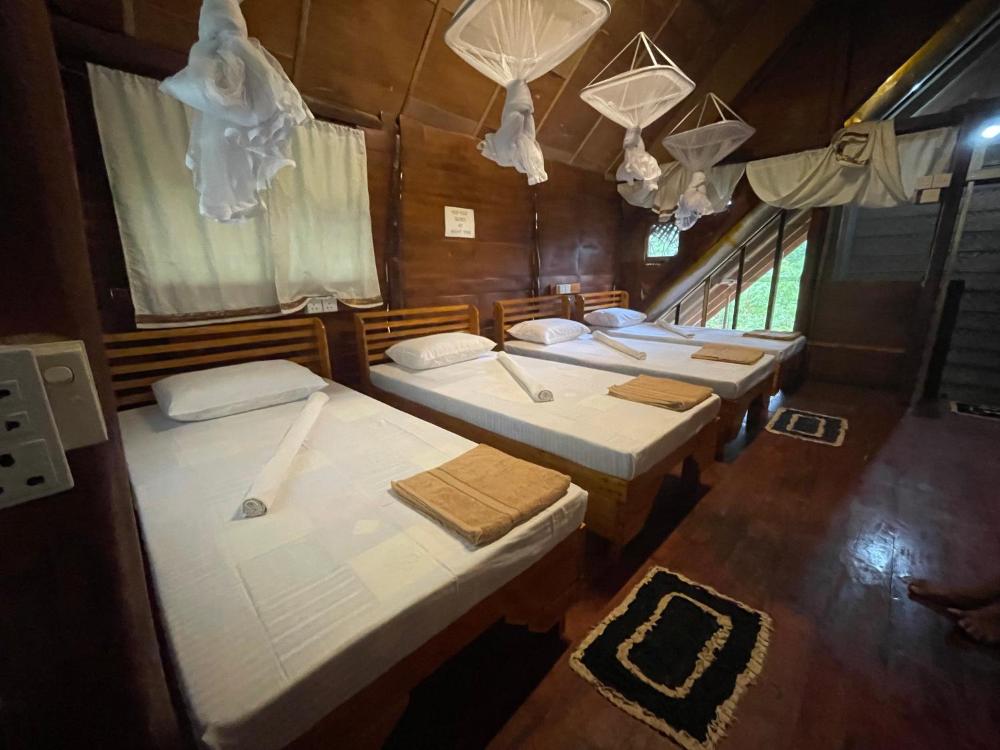 Sigiriya Coconut Shade Hostel