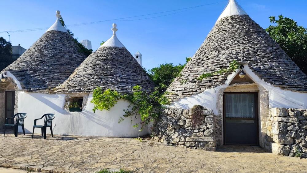 Tenuta Antico Leccio