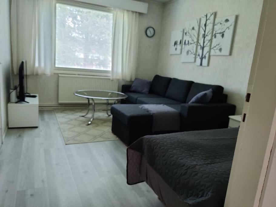 Yksiö omalla puusaunalla